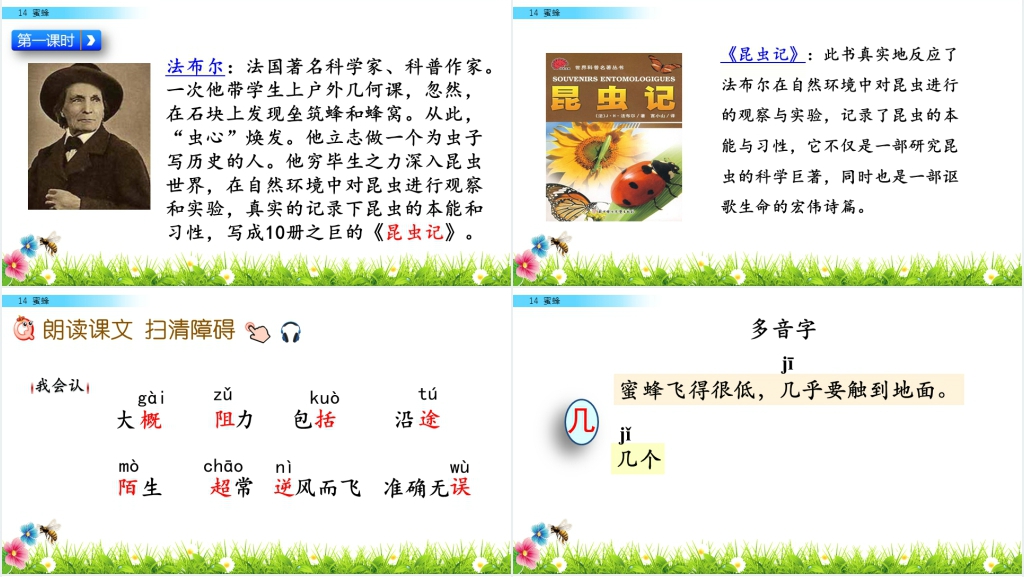 三年级《蜜蜂》PPT课件 三年级《蜜蜂》PPT课件