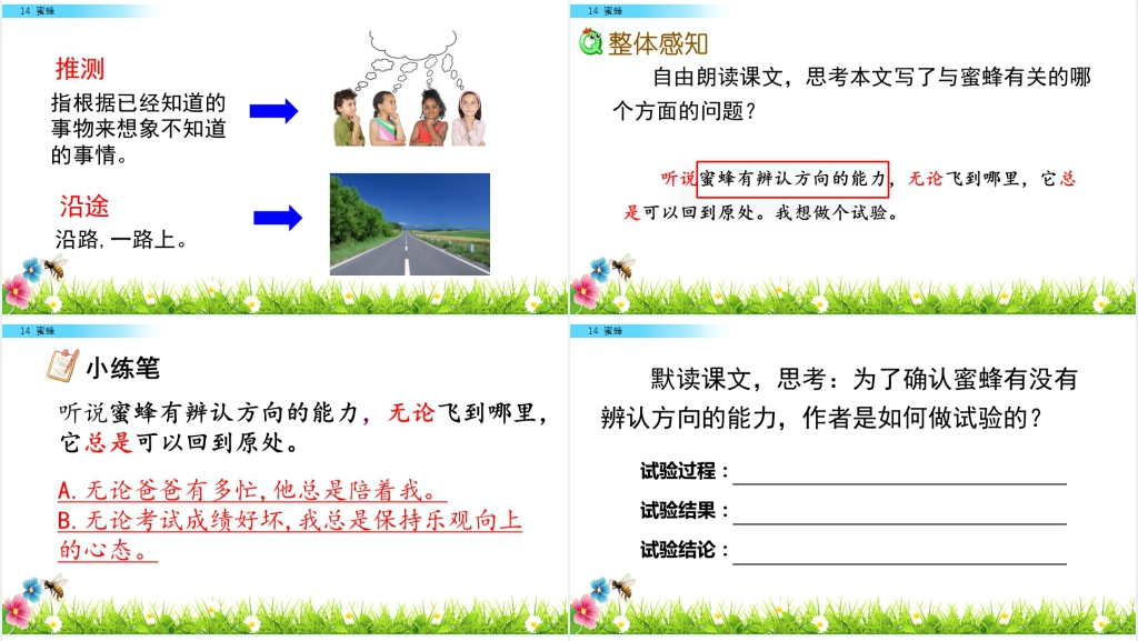 三年级《蜜蜂》PPT课件 三年级《蜜蜂》PPT课件