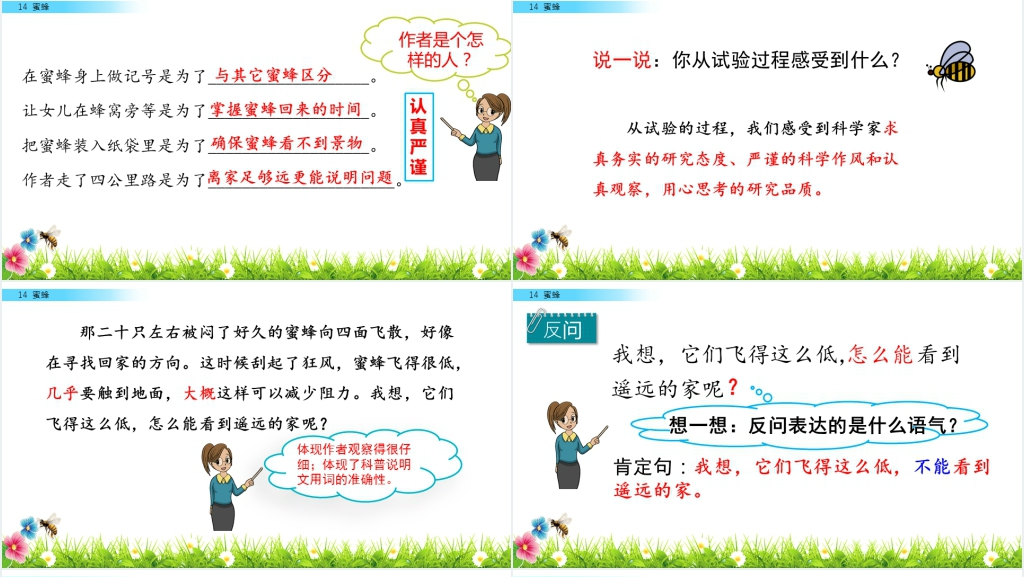 三年级《蜜蜂》PPT课件 三年级《蜜蜂》PPT课件