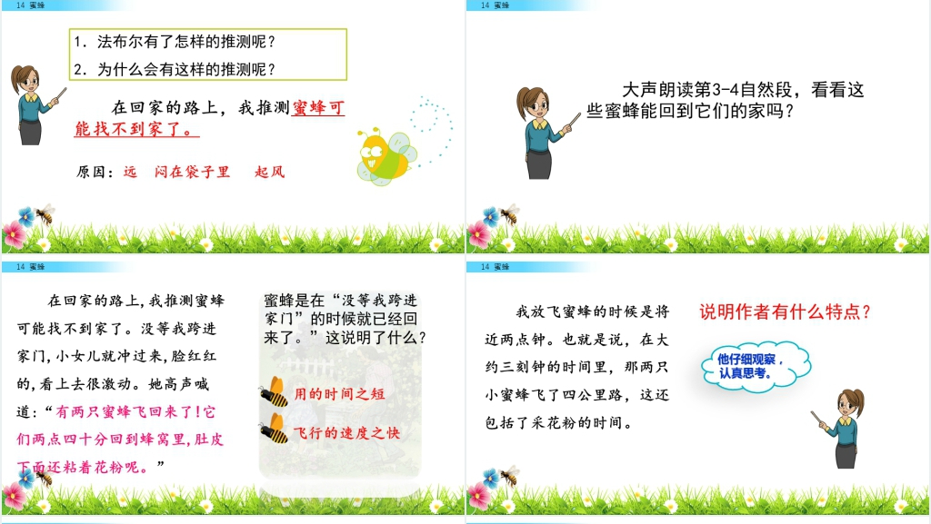 三年级《蜜蜂》PPT课件 三年级《蜜蜂》PPT课件