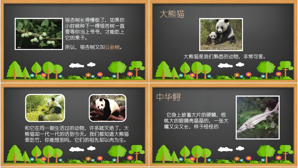 小学课文《活化石》PPT课件