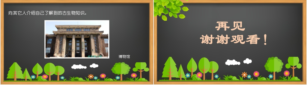 小学课文《活化石》PPT课件