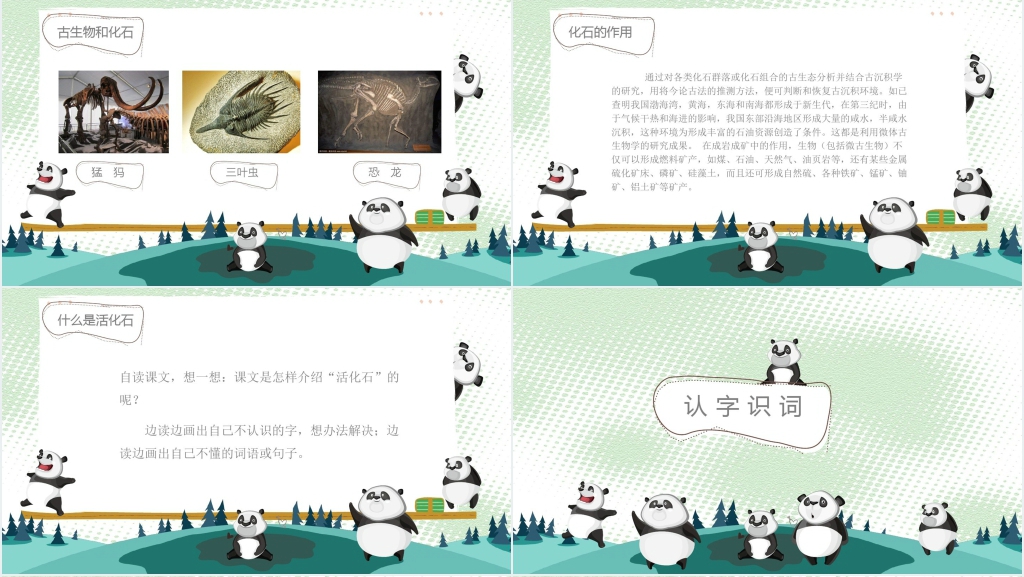 二年级上册《活化石》PPT课件 二年级上册《活化石》PPT课件