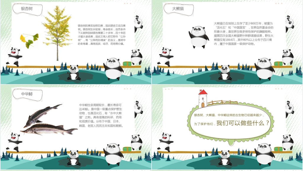 二年级上册《活化石》PPT课件 二年级上册《活化石》PPT课件