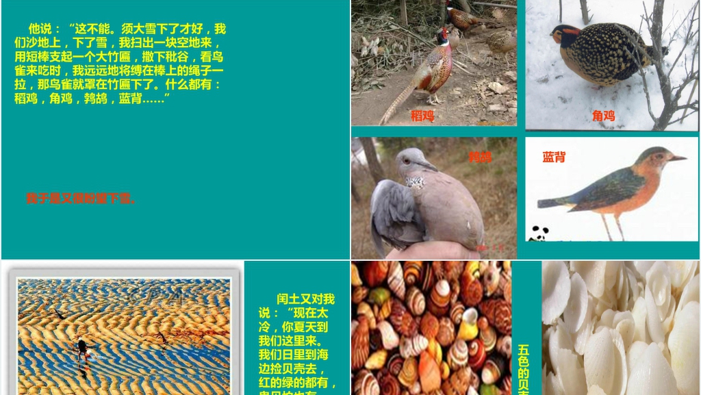 小学少年闰土PPT课件 小学少年闰土PPT课件