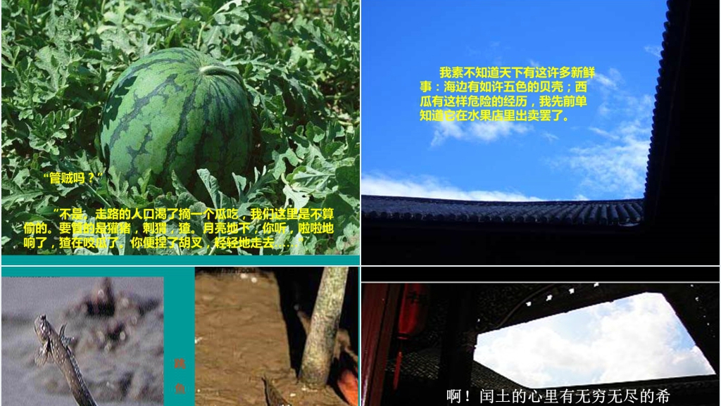 小学少年闰土PPT课件 小学少年闰土PPT课件