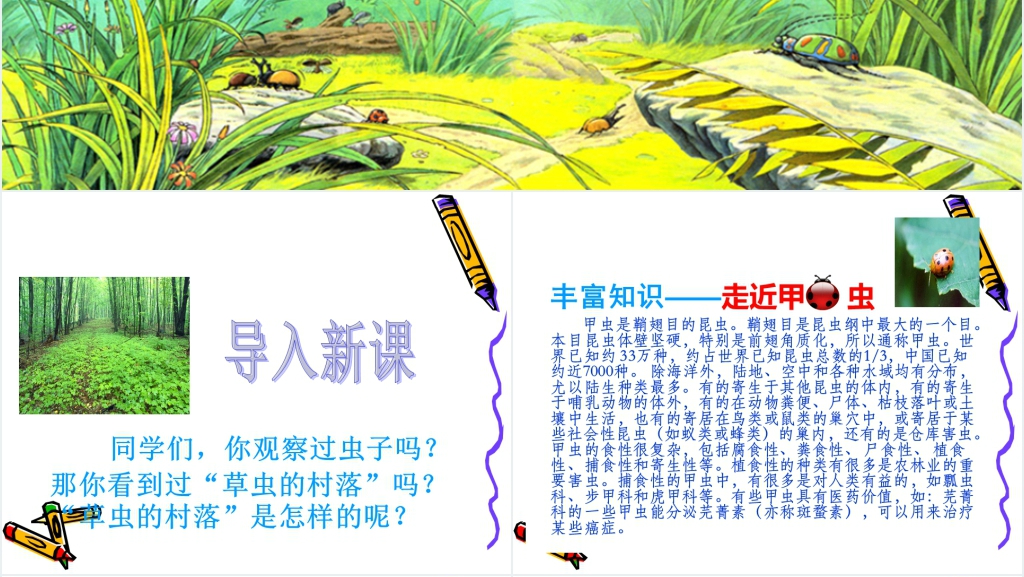 草虫的村落课文PPT课件 草虫的村落课文PPT课件
