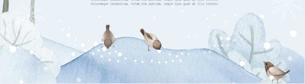 九年级二班语文《沁园春雪》PPT课件 九年级二班语文《沁园春雪》PPT课件