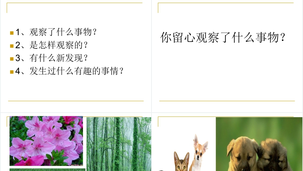 语文习作3我的新发现PPT课件 语文习作3我的新发现PPT课件