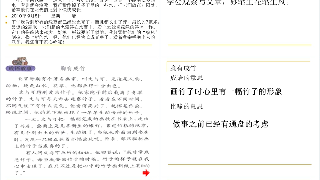 语文习作3我的新发现PPT课件 语文习作3我的新发现PPT课件