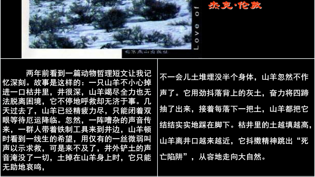 九年级语文下册珍爱生命教学PPT课件 九年级语文下册珍爱生命教学PPT课件