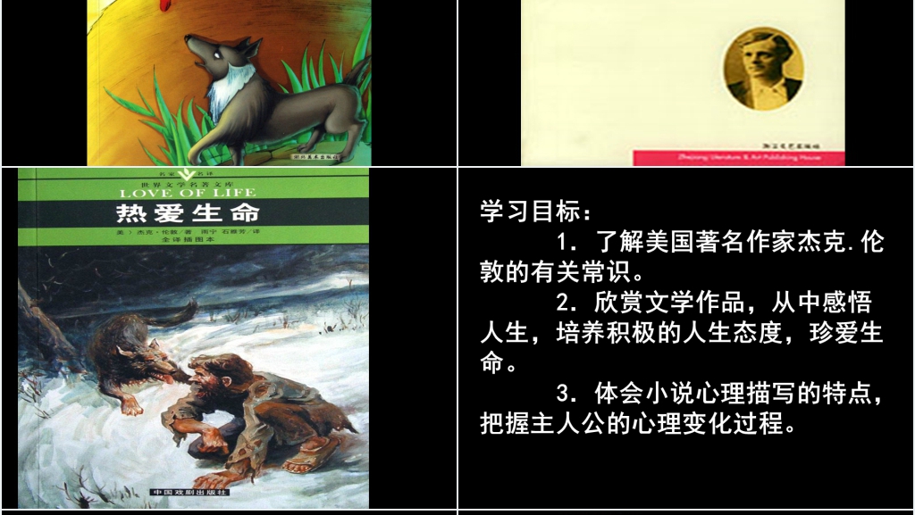 九年级语文下册珍爱生命教学PPT课件 九年级语文下册珍爱生命教学PPT课件