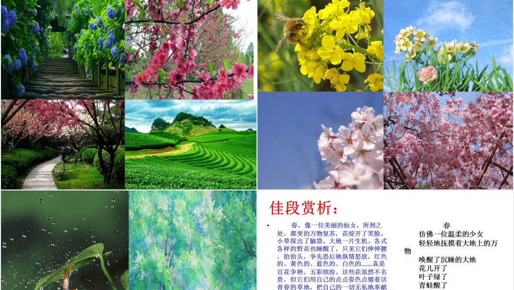 小学六年级作文教学学习抒情PPT课件 小学六年级作文教学学习抒情PPT课件