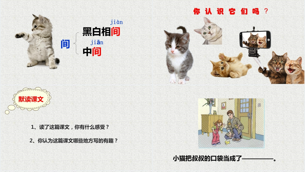 《卡罗尔和她的小猫》教学PPT课件 《卡罗尔和她的小猫》教学PPT课件