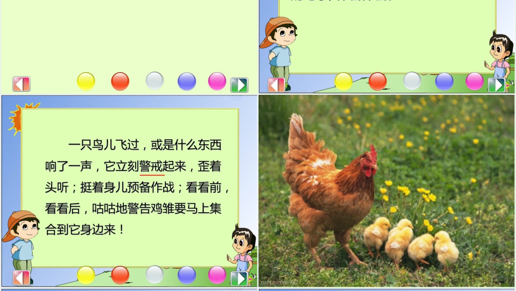 四年级上册母鸡PPT课件 四年级上册母鸡PPT课件