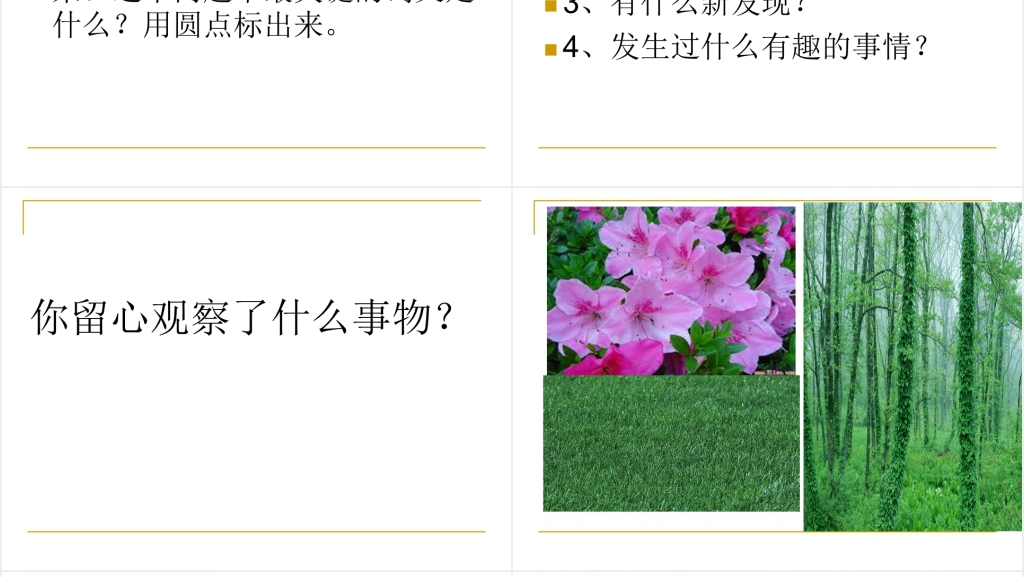 三年级观察日记PPT课件 三年级观察日记PPT课件