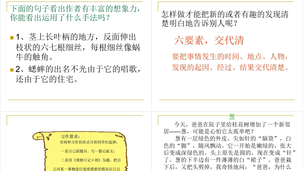 三年级观察日记PPT课件 三年级观察日记PPT课件