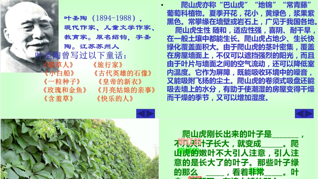 四年级语文爬山虎的脚课文PPT课件 四年级语文爬山虎的脚课文PPT课件