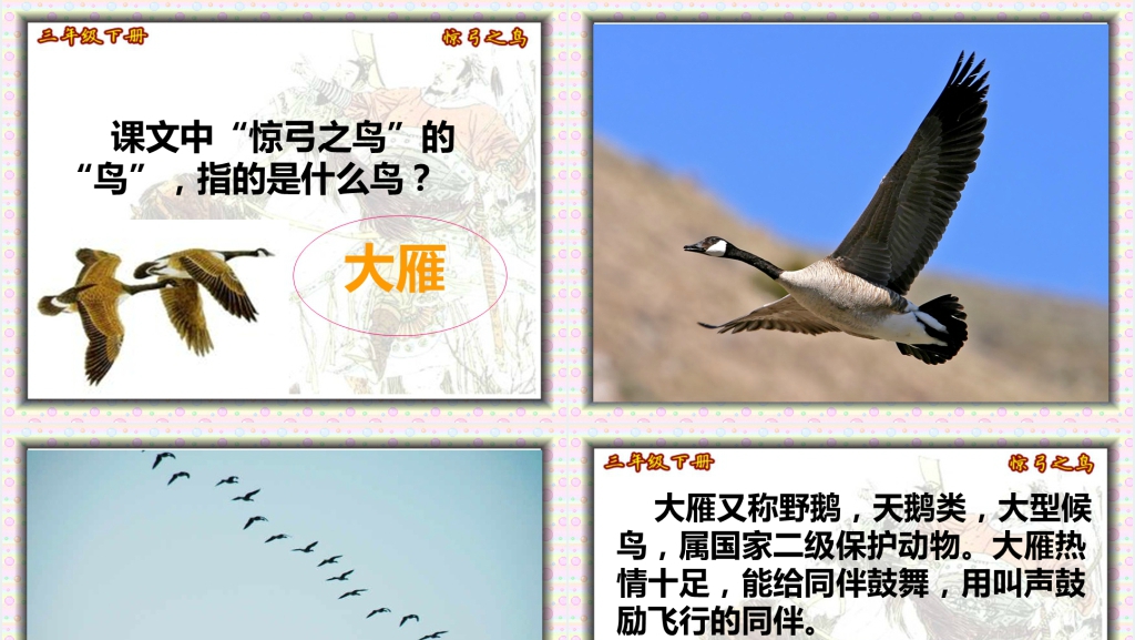 三年级下册惊弓之鸟PPT课件 三年级下册惊弓之鸟PPT课件