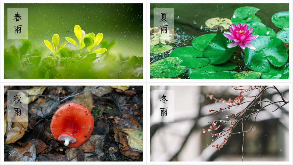 雨的四季教案PPT课件 雨的四季教案PPT课件
