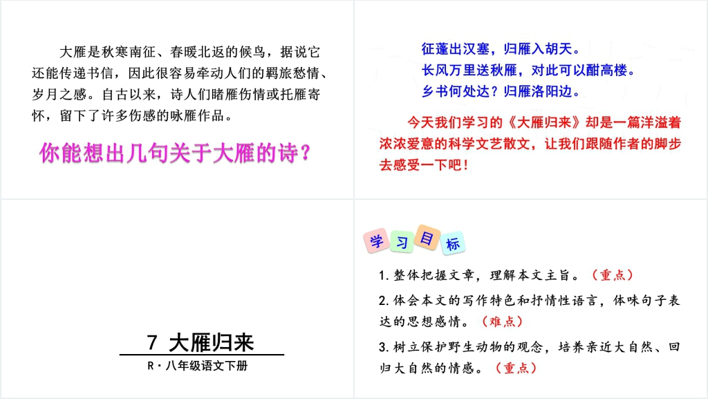 八年级下册语文7大雁归来PPT课件 八年级下册语文7大雁归来PPT课件