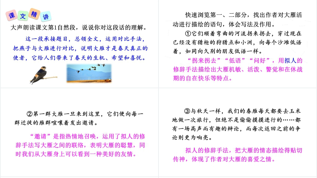 八年级下册语文7大雁归来PPT课件 八年级下册语文7大雁归来PPT课件