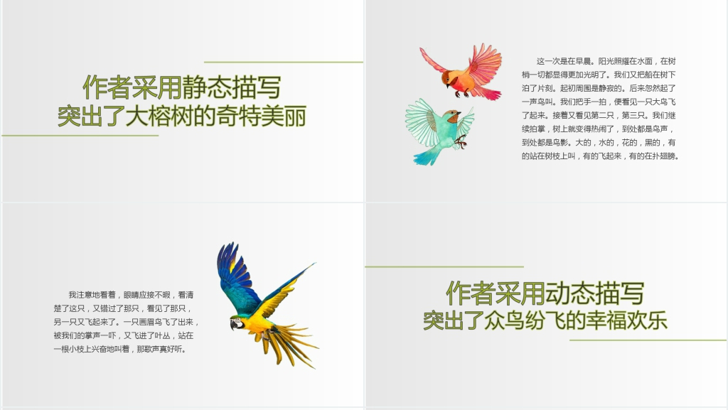 人教版四年级语文《鸟的天堂》课文PPT课件 人教版四年级语文《鸟的天堂》课文PPT课件