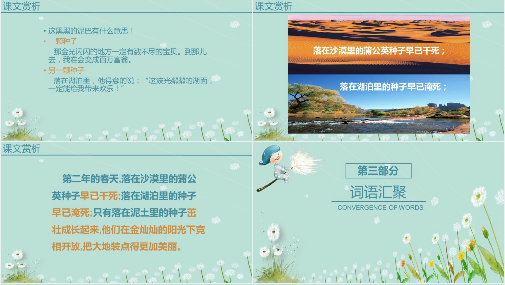 苏教版小学三年级语文上册《蒲公英》PPT模板