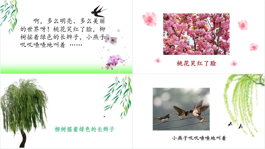 笋芽儿教案PPT课件 笋芽儿教案PPT课件