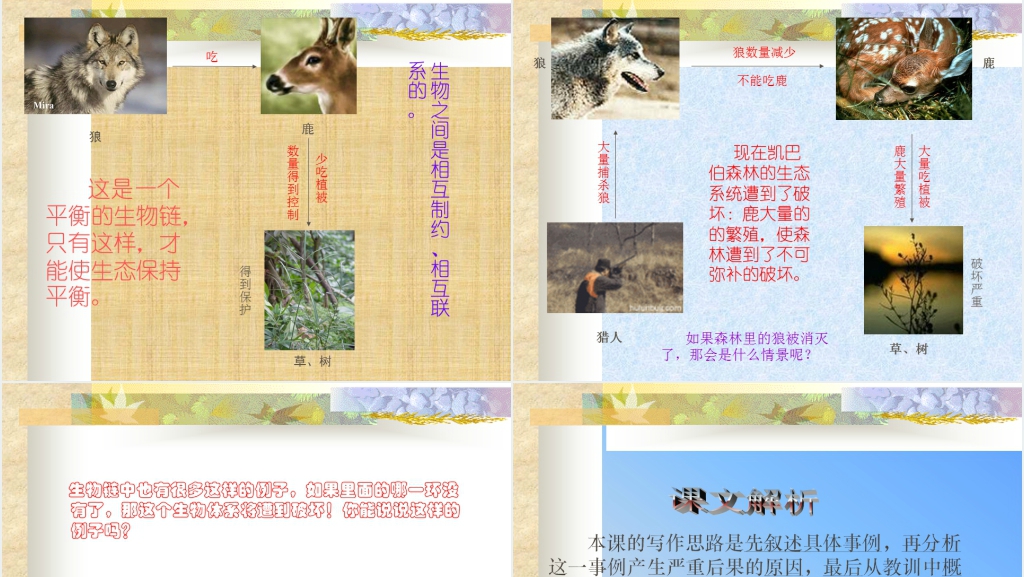第14课鹿和狼的故事PPT课件 第14课鹿和狼的故事PPT课件