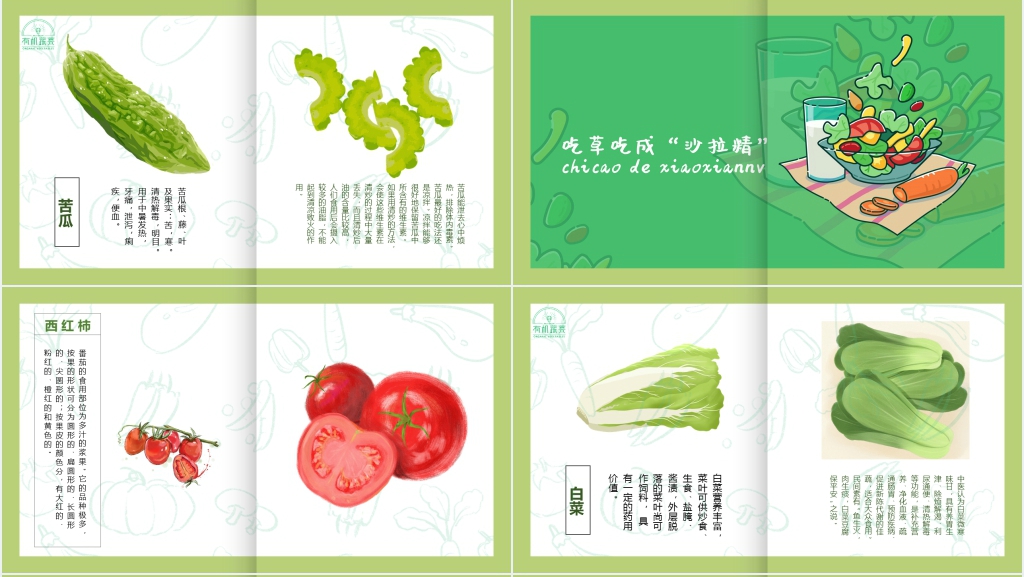 绿色有机蔬菜宣传PPT模板 绿色有机蔬菜宣传PPT模板