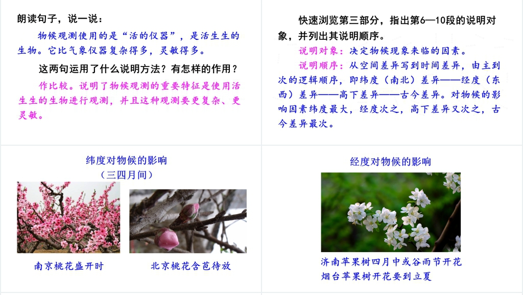 5大自然的语言PPT课件 5大自然的语言PPT课件