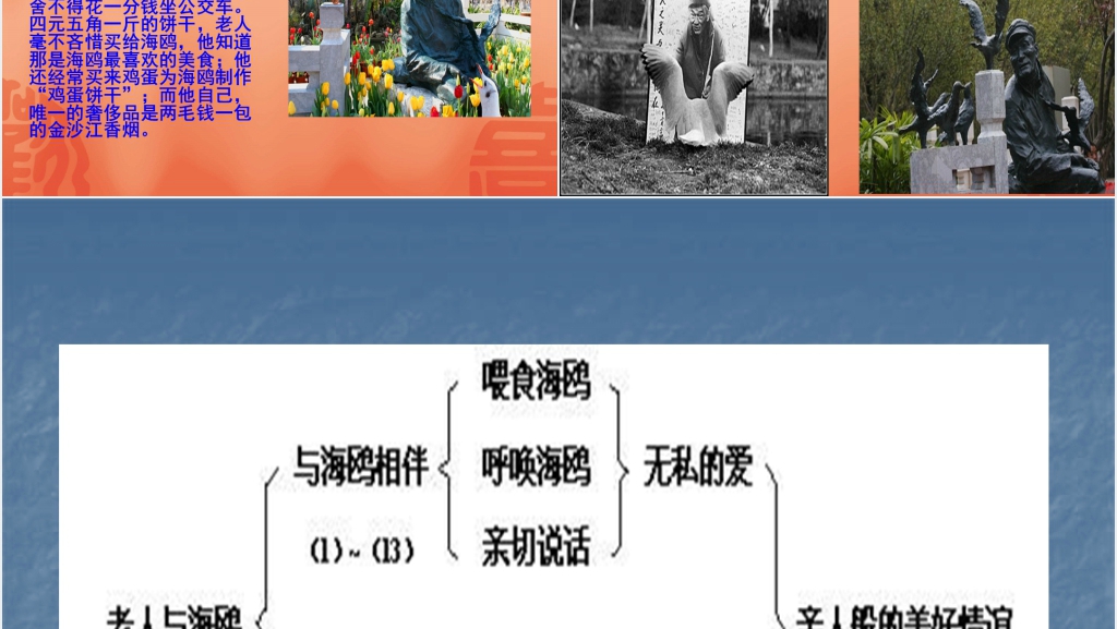 六年级上册语文老人与海鸥PPT课件 六年级上册语文老人与海鸥PPT课件
