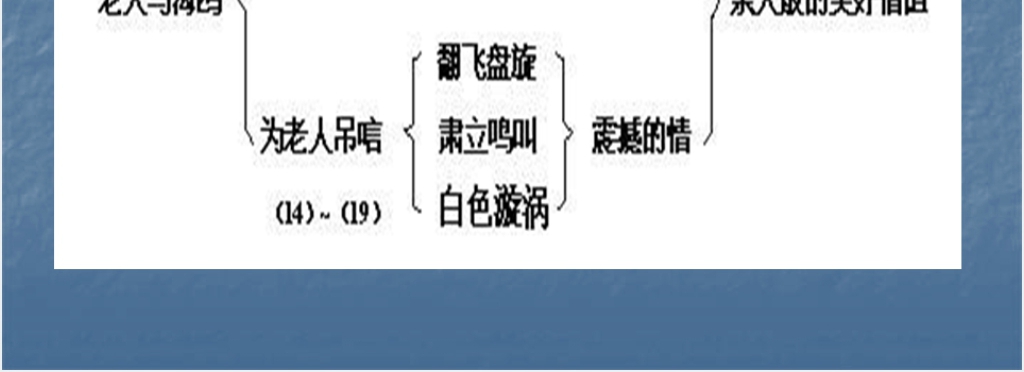 六年级上册语文老人与海鸥PPT课件 六年级上册语文老人与海鸥PPT课件
