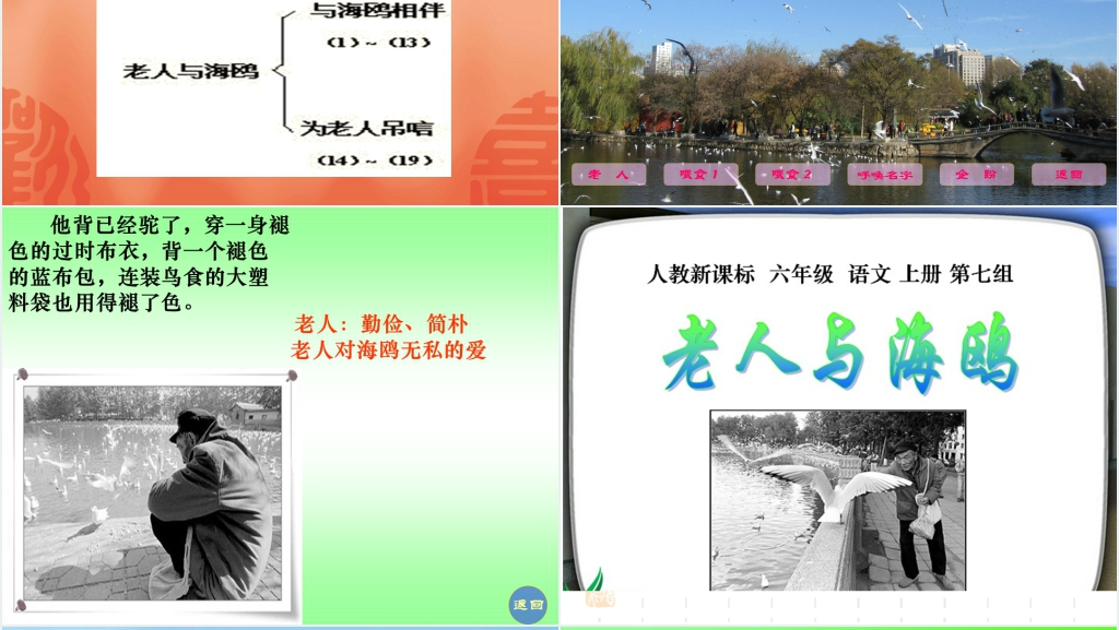 六年级上册语文老人与海鸥PPT课件 六年级上册语文老人与海鸥PPT课件