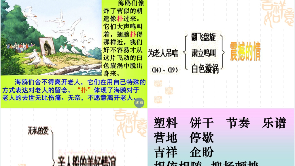 六年级上册语文老人与海鸥PPT课件 六年级上册语文老人与海鸥PPT课件