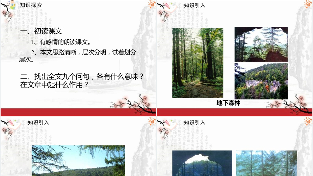 张抗抗地下森林断想PPT课件 张抗抗地下森林断想PPT课件