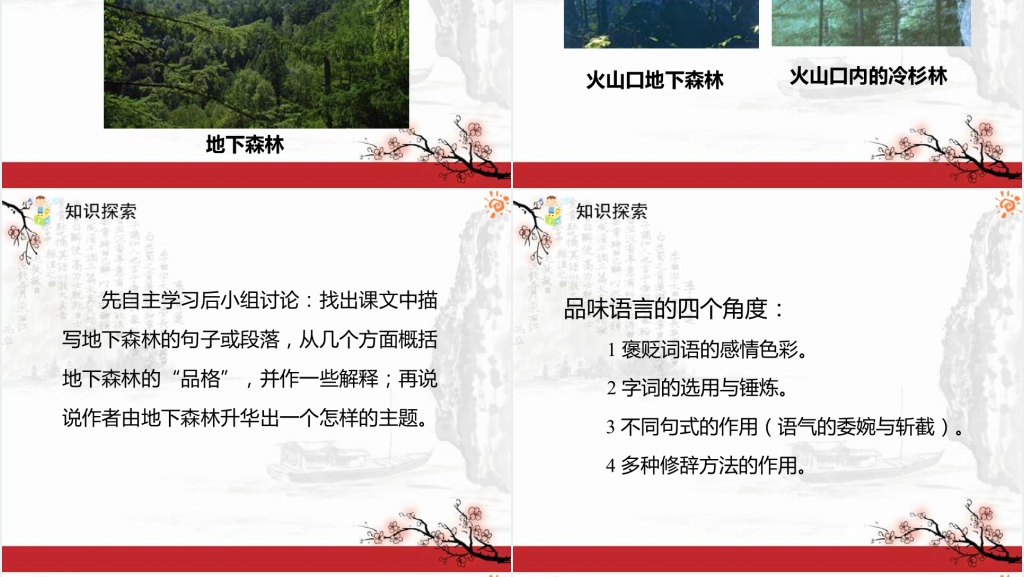 张抗抗地下森林断想PPT课件 张抗抗地下森林断想PPT课件