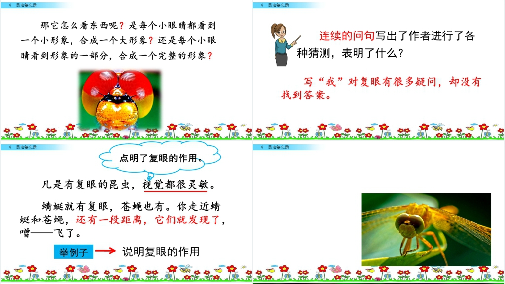 人教版三年级语文下册《昆虫备忘录》PPT课件 人教版三年级语文下册《昆虫备忘录》PPT课件