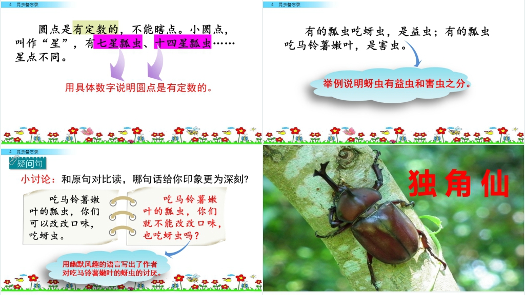人教版三年级语文下册《昆虫备忘录》PPT课件 人教版三年级语文下册《昆虫备忘录》PPT课件
