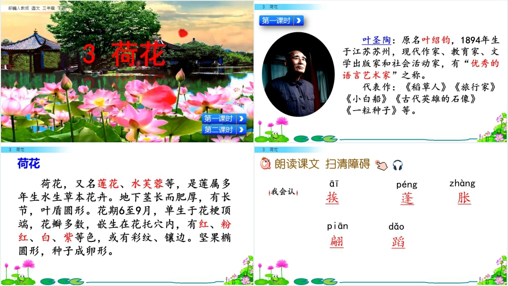 部编人教版语文三年级下册的《荷花》PPT课件 部编人教版语文三年级下册的《荷花》PPT课件