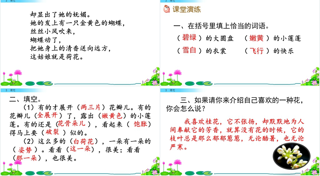 部编人教版语文三年级下册的《荷花》PPT课件 部编人教版语文三年级下册的《荷花》PPT课件
