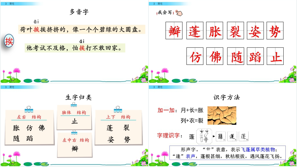 部编人教版语文三年级下册的《荷花》PPT课件 部编人教版语文三年级下册的《荷花》PPT课件