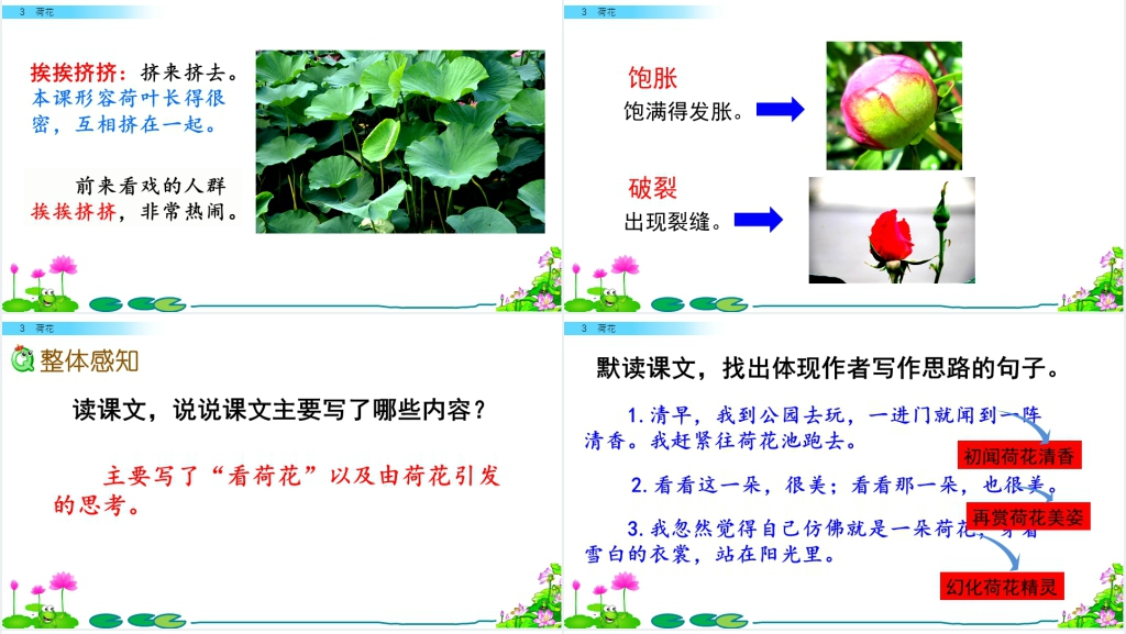 部编人教版语文三年级下册的《荷花》PPT课件 部编人教版语文三年级下册的《荷花》PPT课件