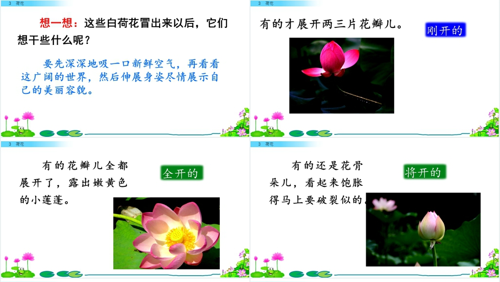 部编人教版语文三年级下册的《荷花》PPT课件 部编人教版语文三年级下册的《荷花》PPT课件