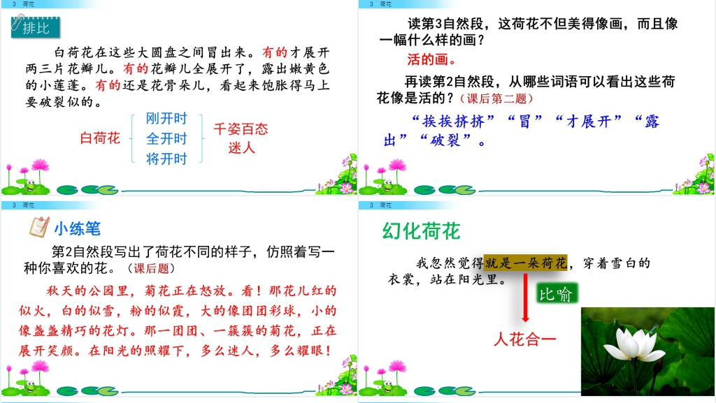 部编人教版语文三年级下册的《荷花》PPT课件 部编人教版语文三年级下册的《荷花》PPT课件