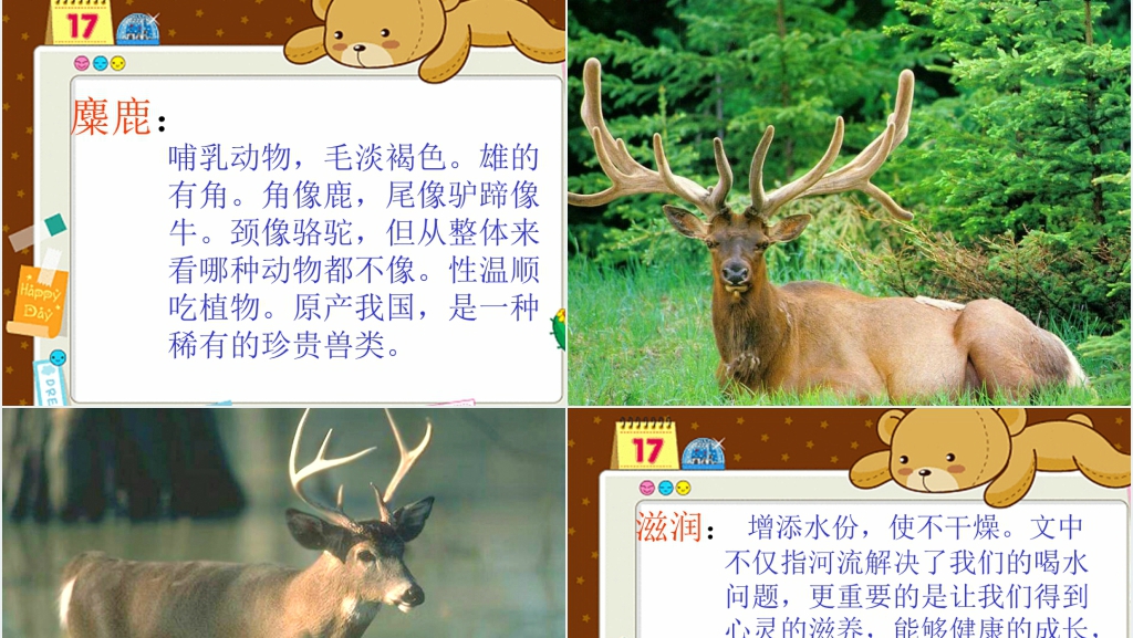 这片土地是神圣的西雅图PPT课件 这片土地是神圣的西雅图PPT课件