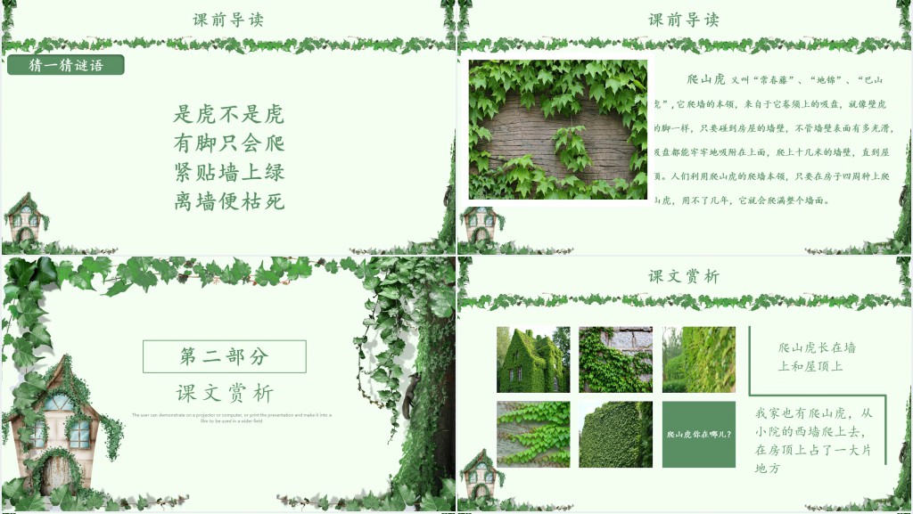 爬山虎的脚课文教案PPT课件 爬山虎的脚课文教案PPT课件