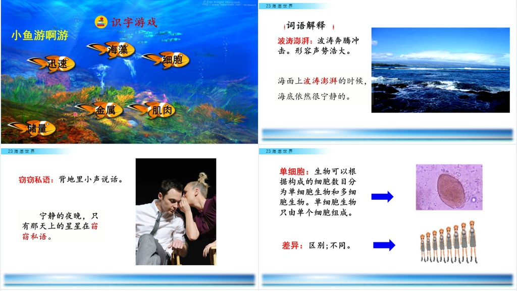 小学三年级语文海底世界优秀PPT课件 小学三年级语文海底世界优秀PPT课件