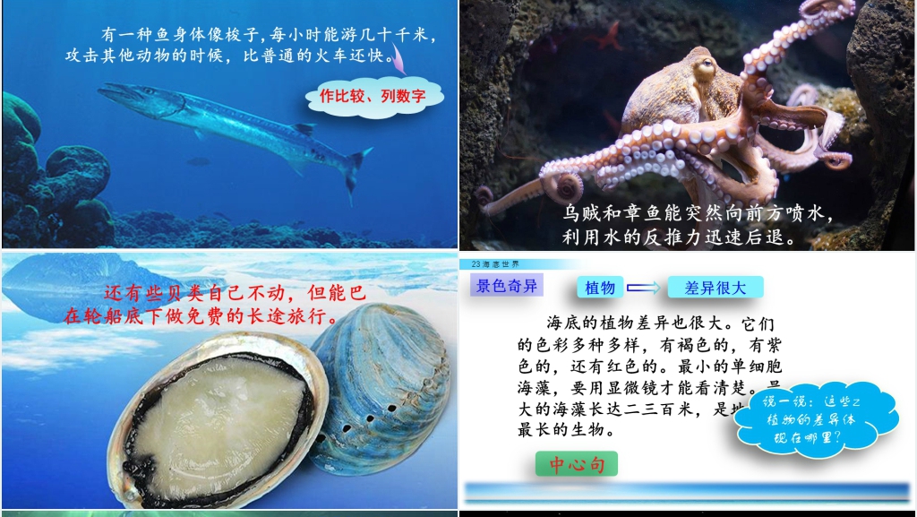 小学三年级语文海底世界优秀PPT课件 小学三年级语文海底世界优秀PPT课件